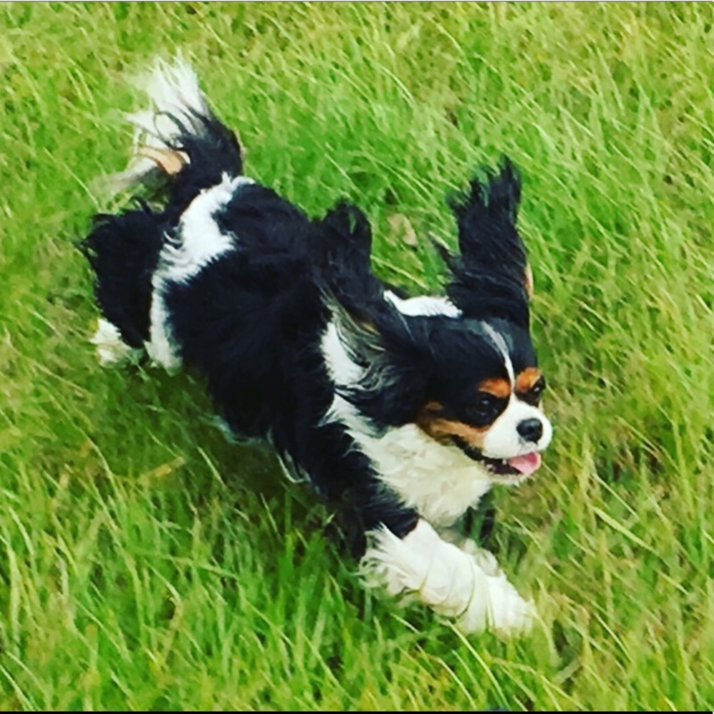 Meet your Posher, Gretchen